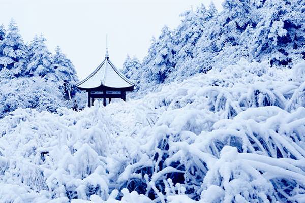 雪为什么是白色的