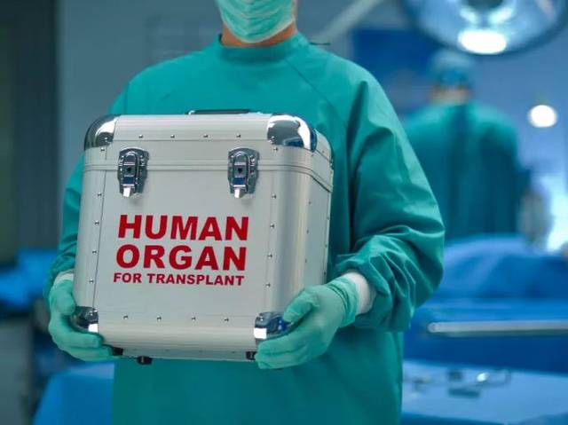 为什么人体器官可以移植