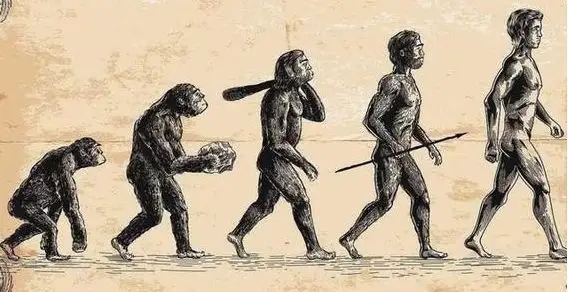 为什么古猿能演变成人 现代类人猿不会却演变成成人