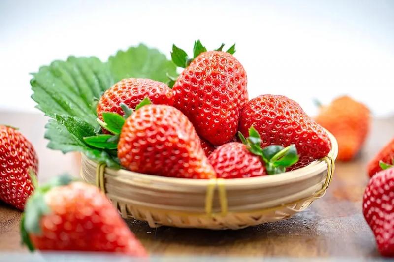 草莓的维生素C含量比橙子还高